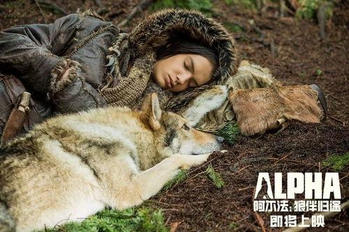 法国电影狼在线观看,法国惊悚电影，在线惊悚体验  第2张