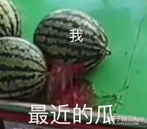 娱乐吃瓜橘子视频大全,全网热门娱乐吃瓜橘子视频大盘点  第3张