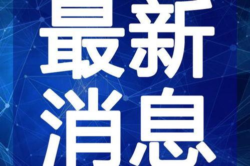 道玄真人爆料视频大全最新,视频大全背后的神秘世界