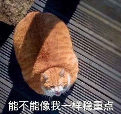 小马慢慢黑料爆料最新内容,揭秘娱乐圈惊人内幕  第2张